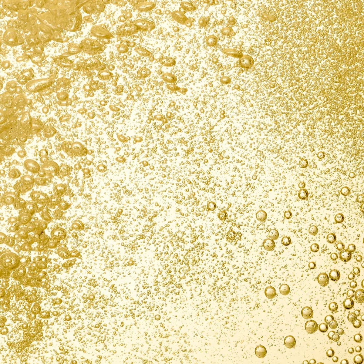 Champagne ready to toast the new vintage